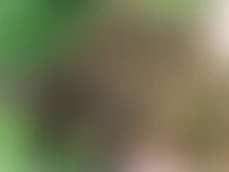 Най-честите грешки при No-Till и как да ги избегнем