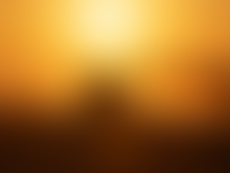 Защо равномерното поникване е изключително важно за добива (и как се постига при No-Till)