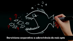teste