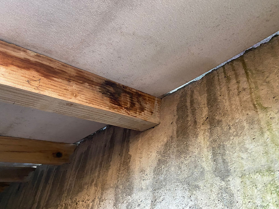 désordres en combles