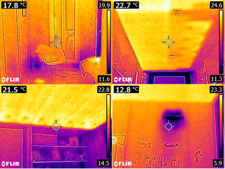images prises à la caméra thermique