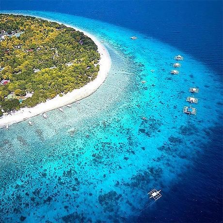 balicasag-island.jpg