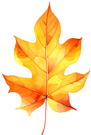 AdobeStock_670490054-03_edited_edited.pn