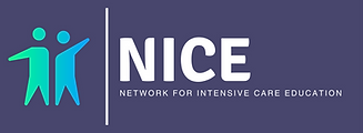 NICE "Network for intensive Care Education" ist ein Netzwerk für Ausbildung in der Intensivmedizin von mehreren schweizer Intensivstationen, die sich speziell für die Weiterbildung der Assistenzärztinnen und Ärzte engagieren. Im Zentrum der Initiative steht eine gemeinsame Lernplattform mit Kursen, die gemäss dem Flipped Class-Room Konzept aufgebaut sind sowie gemeinsame Fellow Tage im Netzwerk für zukünftige Fachärzte Intensivmedizin.