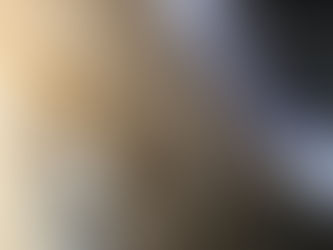 Essential Tips to Protect Your Car’s Paint from Bug Damage