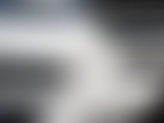 SPLAT! What You May Not Know About Bug Guts on Your Car