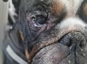 528267961_1883354748903669_6253105094854