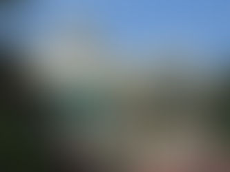 Crystal Palace - A Dining Gem