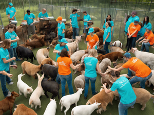 Meet Our Dedicated Animal Rescue Volunteers