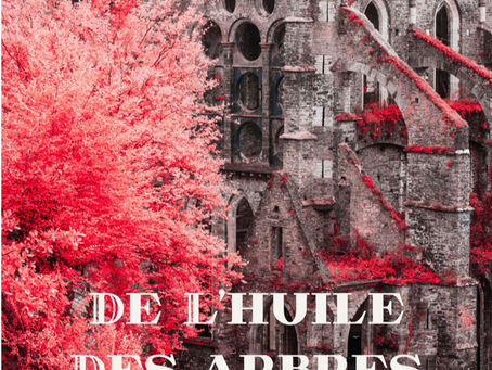 De l'huile, des arbres et des ruines - une méditation d'Esaïe 61