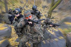 Gruppo Bosco Giallo