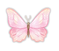 Pink butterfly