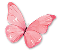 Imagen de mariposa color rosa