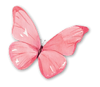 Image of pink butterfly