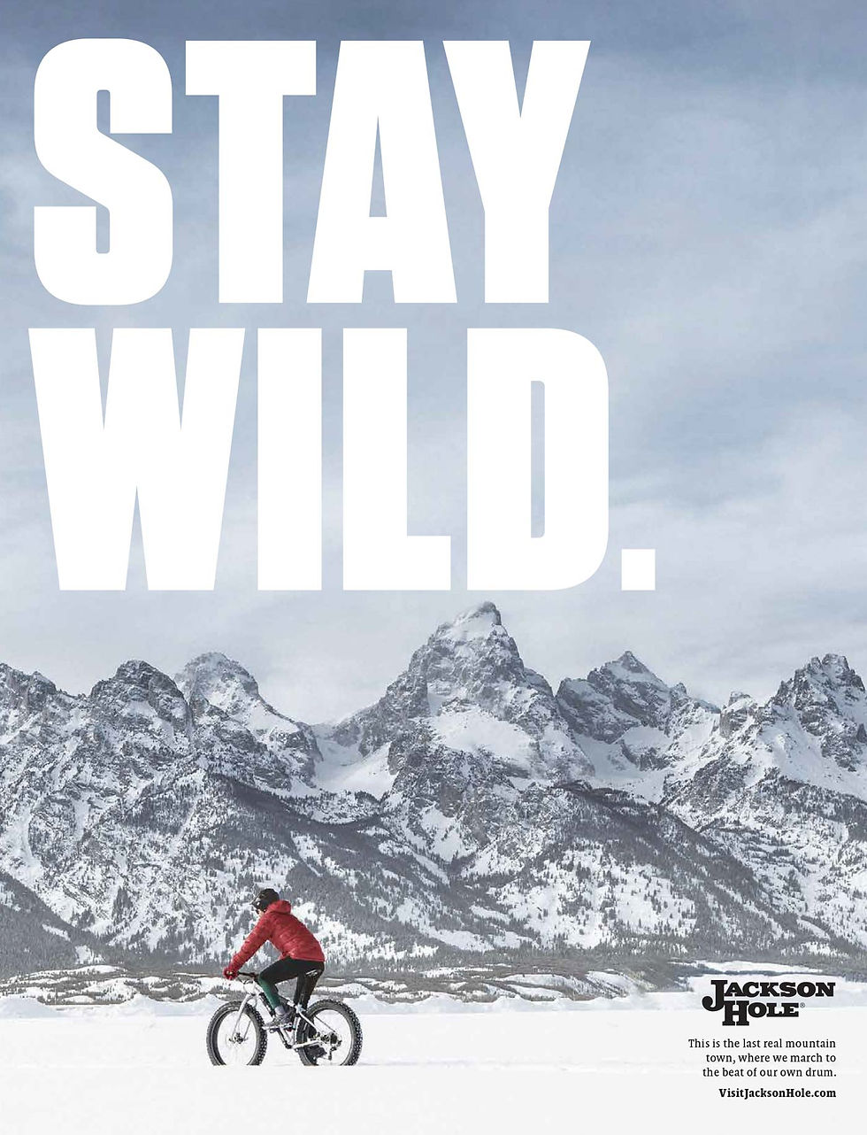 StayWild_Campaign-1.jpg