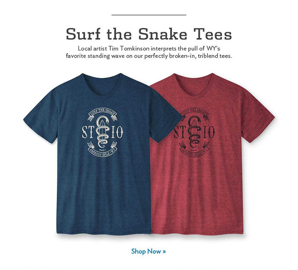 STIO-SurfTheSnake.jpg