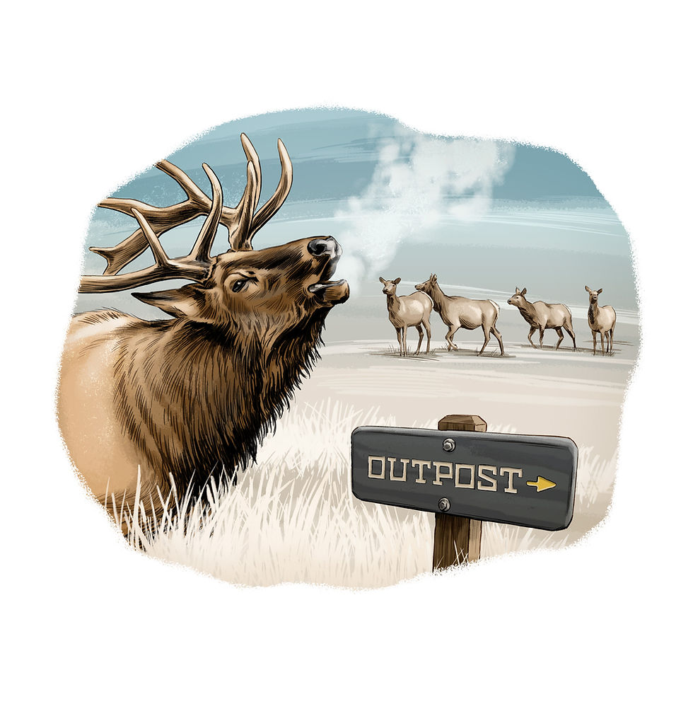 Outpost-brochure-illustration-bugling-elk.jpg