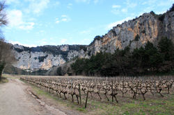 culture en fond de méandre