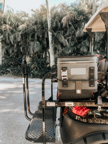Cooler Caddie Mount for most carts with rear seats and Yeti 8