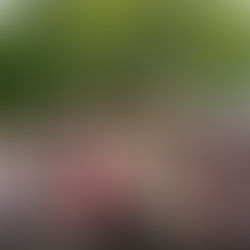 Exploring Ireland: Asia's Journey Through Diverse Experiences and People