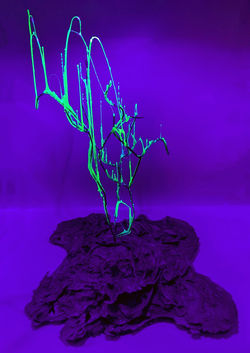 Wilton_Kelly_RecallingaMemoryisanActofCreation_1