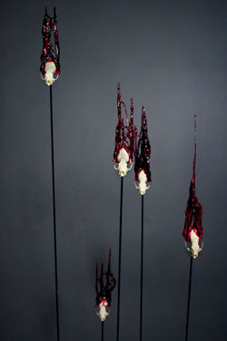 releaseseriesfrettchendetail