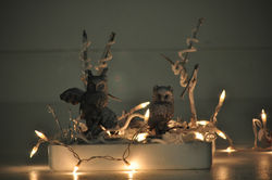 Ceramic Shell Project