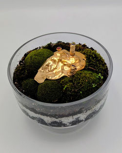 Wilton_Kelly_MemoryTrace