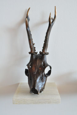 Roe Deer (variation)