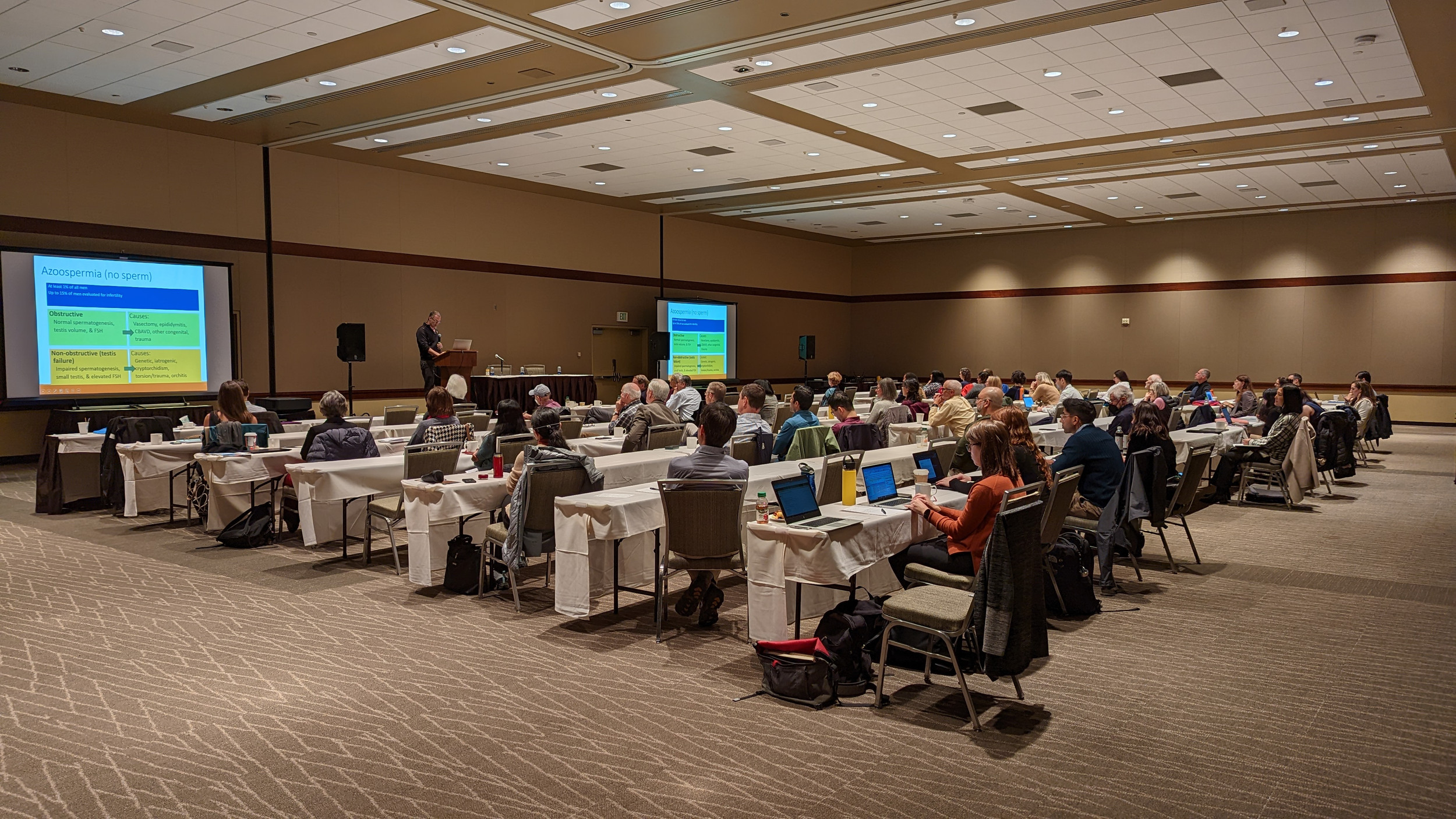 2025 Spring Conference Endocrine Days