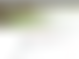 文春オンライン「サウナ人生、波乱万蒸。」神戸サウナ　11月15日更新