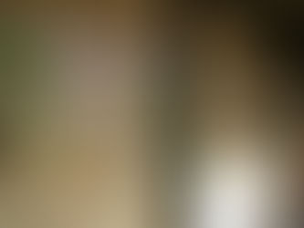 Sudare (簾 / すだれ): Do tradicional ao moderno