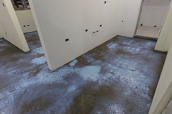 19.2木地板-新舊劑.jpg