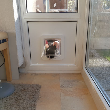 Katzenzugänge 