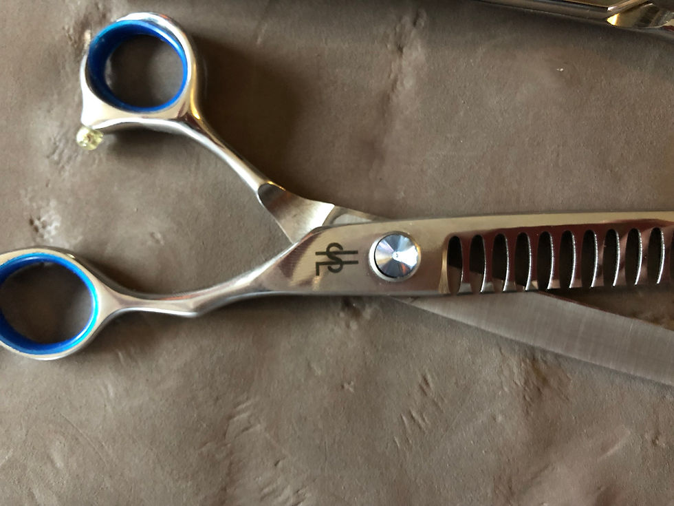 Thumbnail: 8-inch Trio Shears