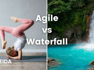 Agile vs Waterfall in Supplier Diversity?