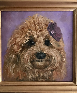 20 x20 pet portrait