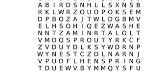 Issue #5 Word Search