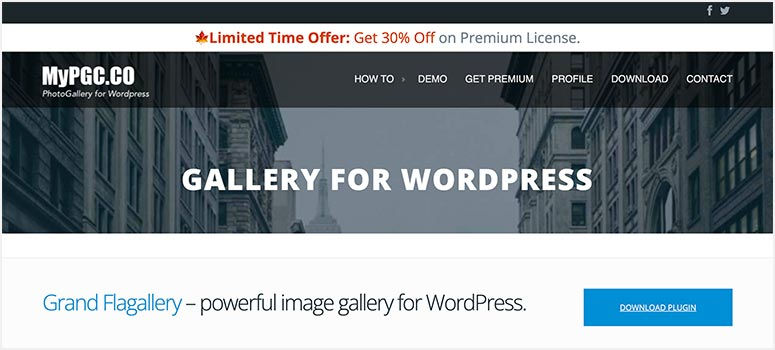 Website header with cityscape background, text: "Gallery for WordPress". Offer: "30% Off on Premium License". Blue button: "Download Plugin".