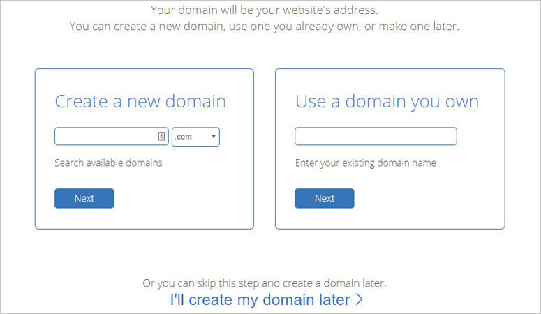 Domain setup page showing options: "Create a new domain" with a dropdown and "Use a domain you own" with a text box. "Next" buttons present.
