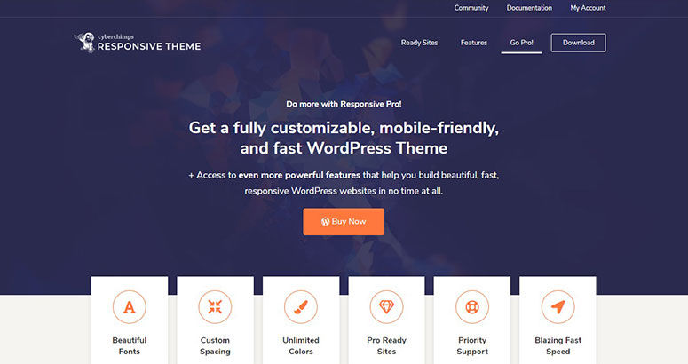 Promo page for a customizable WordPress theme. Text on navy background offers features and a "Buy Now" button. Icons below for benefits.