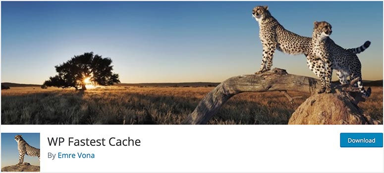 Two cheetahs stand on a log in a savanna at sunset. WP Fastest Cache by Emre Vona is displayed below. A download button is on the right.