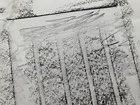 IMG_1581.jpeg
