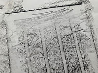 IMG_1581.jpeg
