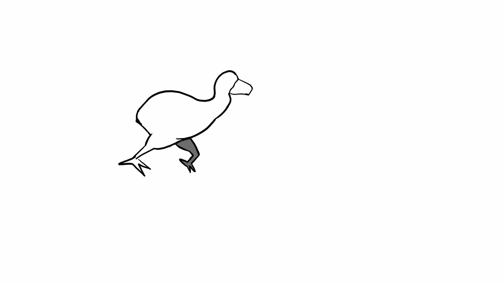 IMG_4065.GIF