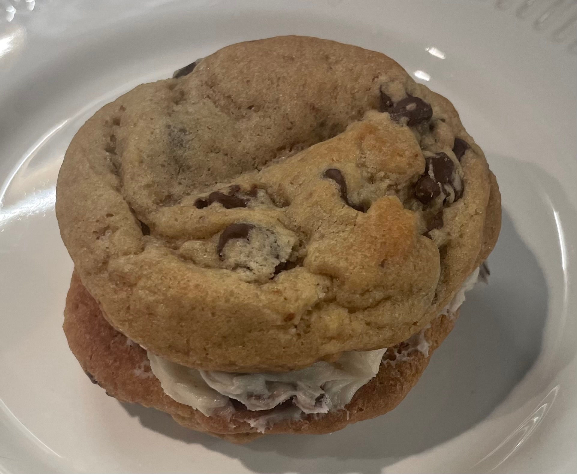 Chocolate Chip Doozie (Squatch)