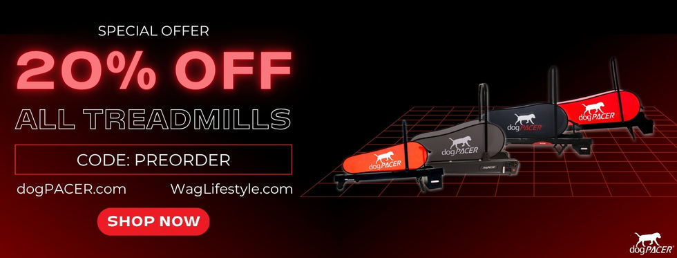 Pre Order Sale Banner2