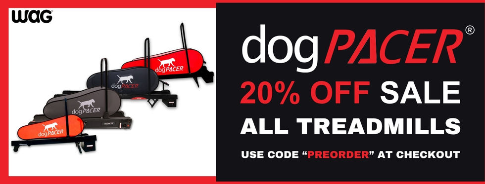 Pre-Order Sale Banner