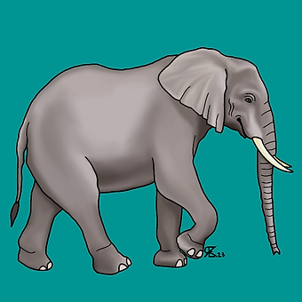 IMG_0407.PNG