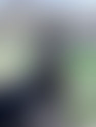 Maximus Jung HP du Winckel